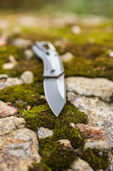Нож Наклонен Фотонож Природе — стоковое фото