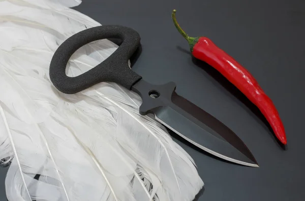 Cuchillo Negro Sobre Fondo Negro Plumas Blancas Pimiento Rojo Concepto — Foto de Stock