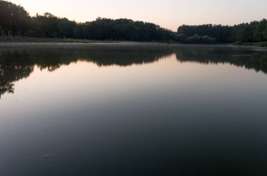 Göle parkta. Şafak göl kenarında. Su yansıma.