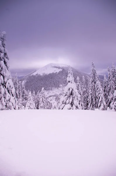 Paisaje Invernal Las Montañas Montañas Cubiertas Nieve Disparo Vertical — Foto de Stock