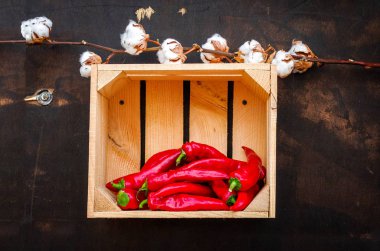 Kırmızı acı biber mezarda. Biber ve pamuk. Siyah arka plan.