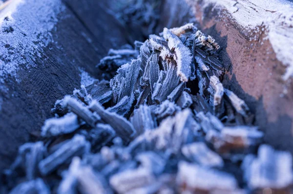 Textura Relevo Com Geada Início Inverno Eles Estão Terra — Fotografia de Stock