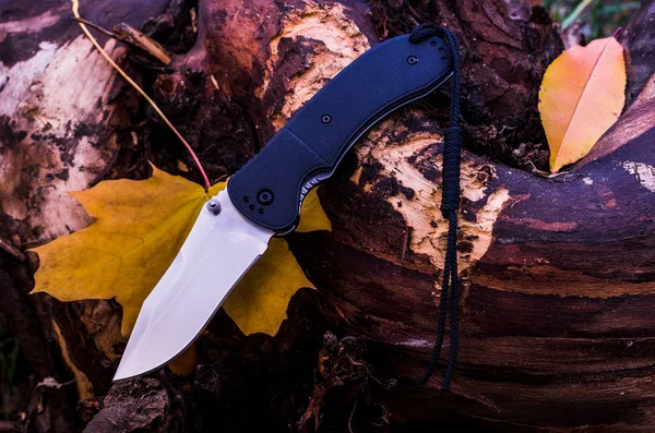 Осенняя композиция с ножом. Нож и осенняя листва . — стоковое фото