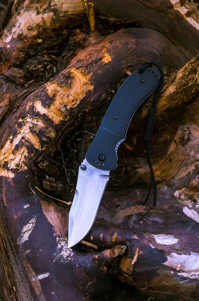 Φωτογραφία μαχαίρι σχετικά με τη φύση. Φωτογραφία του ένα μαχαίρι σε ένα δέντρο. — Φωτογραφία Αρχείου