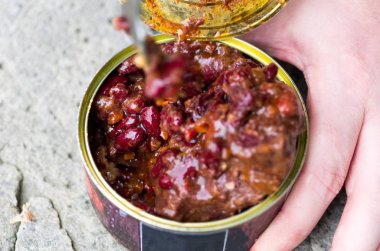 Fasulye ve devekuşu et garnitür. Kuru fasulye. Sayfanın Üstü.