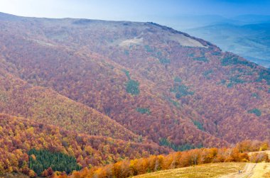 Çok renkli sonbahar ağaçlar. Birçok doğal renkler. Amber ağaçlar. Harika bir manzara. Doğa bir sanatçıdır.