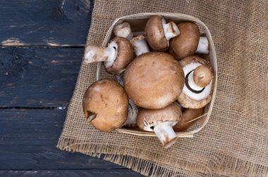 Kahverengi petrol bir çuval üzerinde bir sepet içinde. Sayfanın Üstü.