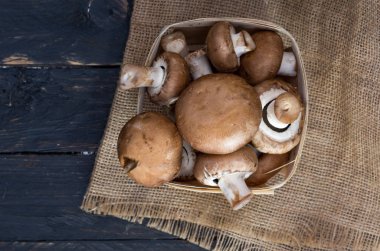 Taze mantar sepeti. Kahverengi petrol. Düz yalan