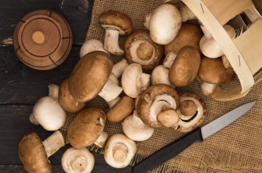 Mantar hazırlanması. Petrol, mutfak bıçak ve saltcane. Mantar çeşitli.