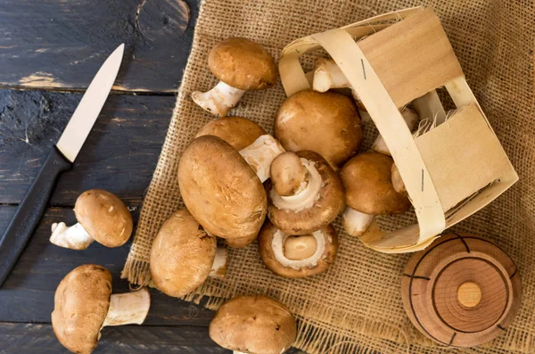 Kahverengi mantar ve mutfak bıçağı. Sayfanın Üstü. Mutfak masasının üzerinde mantar.