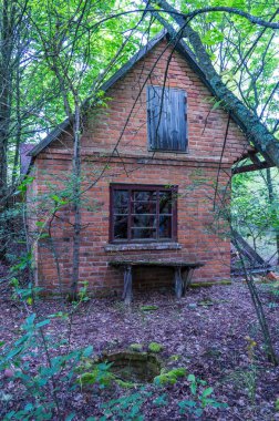 Eski terk edilmiş bir evde tuğla yaptı. Boş bir tezgah. Doğa unsuru.