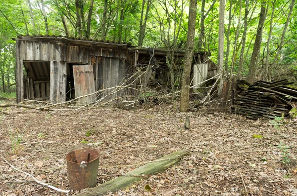 Uma Catástrofe Casa Abandonada Jardins Floresta Selvagem — Fotografia de Stock