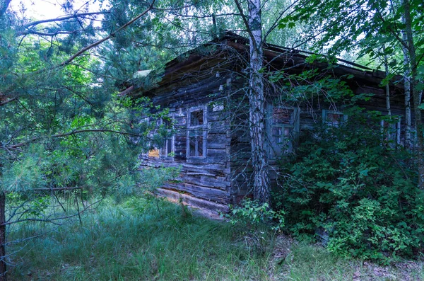 森の木の家 古い木造の家 野生の自然 — ストック写真