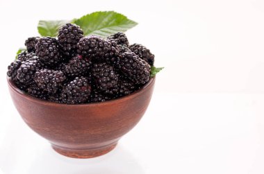 Böğürtlen bir kase üstten görünüm içinde. Beyaz arka plan.