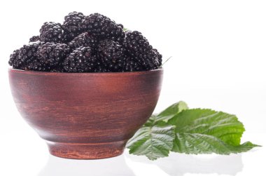 Bir tabak içinde orman meyveleri. Taze orman meyveleri. İzole