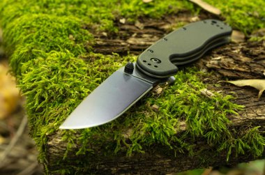 Bıçak. Moss ile büyümüş bir bankta bir bıçak. Bıçak açılı.