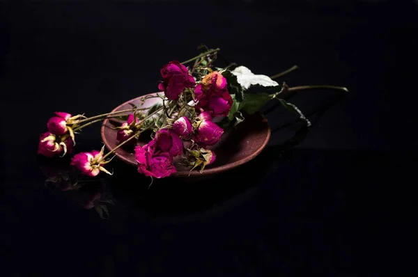 Ξηρά τριαντάφυλλα σε ένα πιάτο. Ερμπαρίου των τριαντάφυλλων. — Φωτογραφία Αρχείου