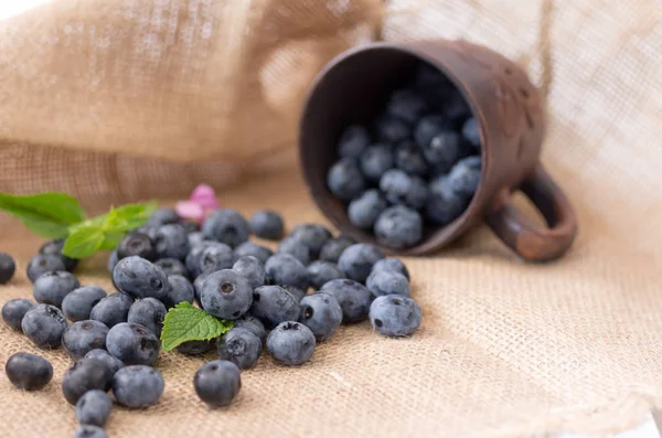 Composition in a rural style. Berries are blueberries. — Stock Photo, Image