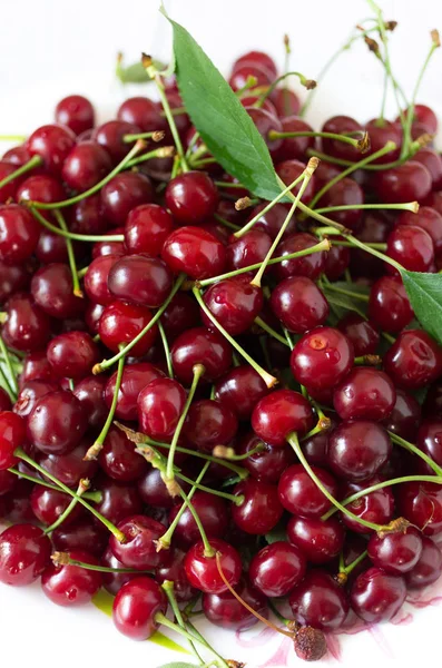 Red cherry and white plate. Stock Photo