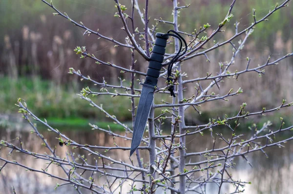 Armeemesser an den Ästen eines Baumes. Messer bei Sonnenuntergang. — Stockfoto