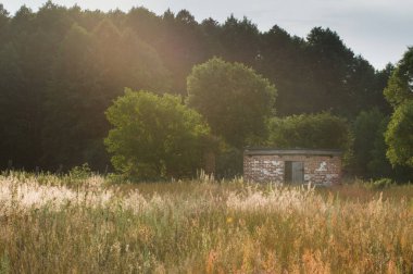 Sahada dök. Ormanda dökülüyor. Ormanda tuğla ev.