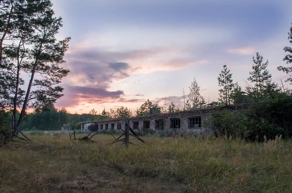 Gammal övergiven byggnad. Gammal laduhuvad i skogen. Gamla tegelbyggnaden. — Stockfoto