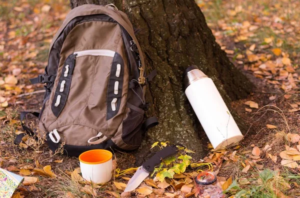 Träd och höst bakgrund. Höstvandring med ryggsäck, termos och karta. — Stockfoto