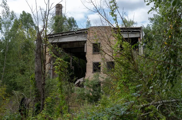 As ruínas de uma antiga fábrica e uma chaminé. Uma antiga fábrica coberta de árvores . — Fotografia de Stock