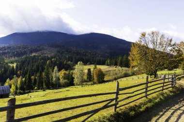 Kırsal çitler. Ağaç ahşap bir çitle çevrili..