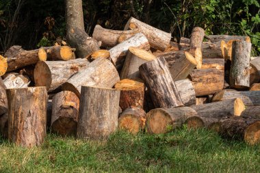 Bir odun yığını. Kütük topluyorum. Yakacak odun kesme.