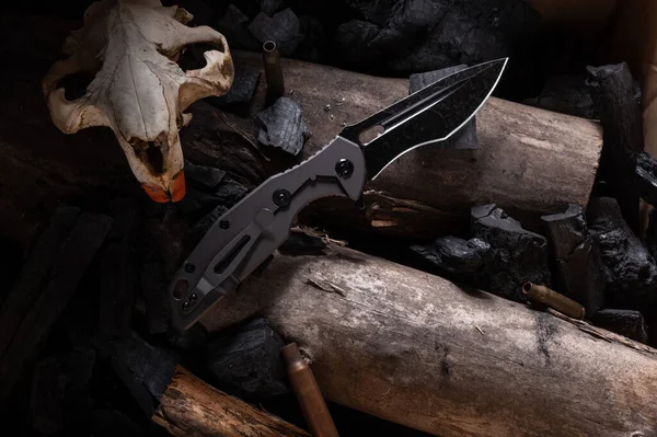 Army folding knife and animal skull. Photo of a knife in a low key with sleeves and wood. Top.