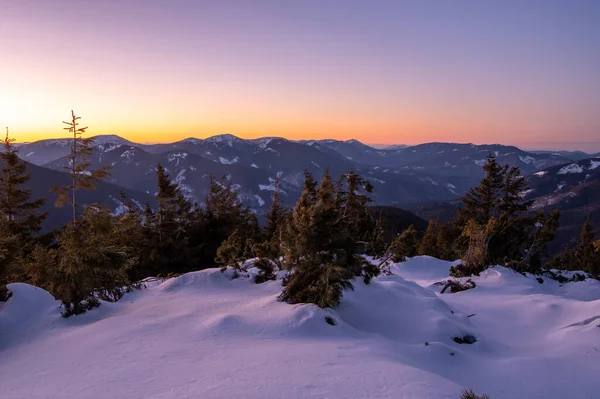 Bellissimo Tramonto Sulle Montagne Invernali Gli Alberi Natale Non Sono — Foto Stock