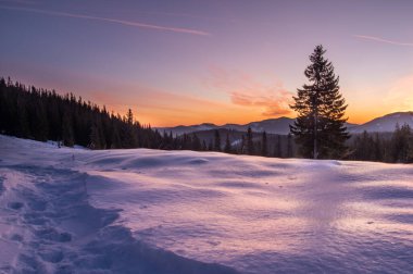 Karlı dağlarda dinlen. Buzla kaplı kar.