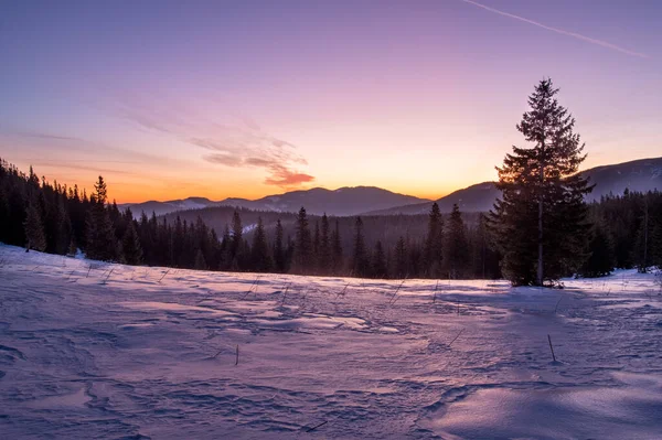 Nascem as montanhas de Inverno. Neve e abeto. Inverno nas montanhas. — Fotografia de Stock