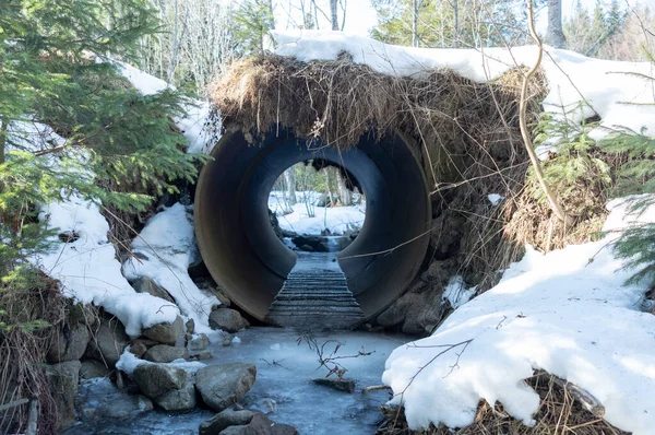 Un túnel de drenaje para ríos de montaña. A través de la tubería en el suelo. Agujero en el suelo. — Foto de Stock