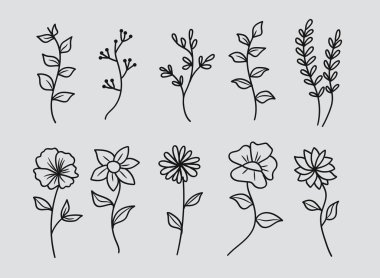 Elle çizilmiş çiçeklerin oluşturduğu yaratıcı bir vektör seti ve zarif bir sanat tarzıyla ayrılıyor. Koleksiyonda çeşitli botanik elementler yer alıyor