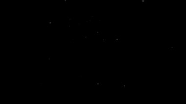 Falling snowflake animation for winter and Christmas backgrounds. Animated footage.