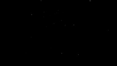 Falling snowflake animation for winter and Christmas backgrounds. Animated footage.