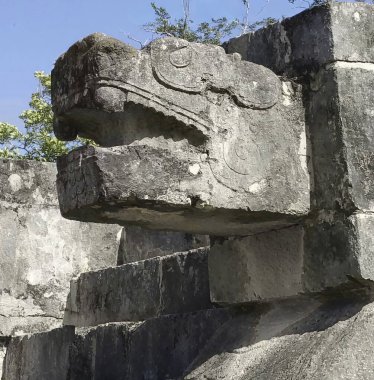 Meksika 'daki Chichen Itza' nın Maya harabelerinde taşa oyulmuş Jaguar kafası, genellikle Maya kültürünün ilahi ve temel kavramlarıyla ilişkilendirilmiş kutsal bir hayvanı temsil eder.