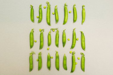 Çiftçinin doğal bezelye gri bir arka plan üzerinde. Diyet ve sağlıklı beslenme.