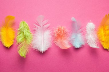 Pembe bir arka plan üzerinde renkli tüyler.