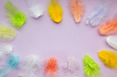 Mor arka plan, metin için yer üzerinde bir oval şeklinde renkli tüyler.