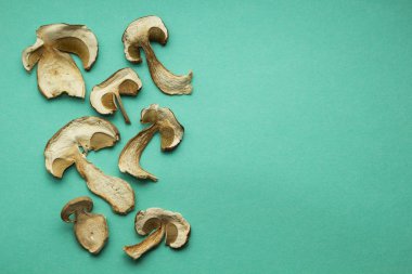 Birçok kuru çörek dilim izole üzerinde yeşil renkli mantar. Metin için yer.