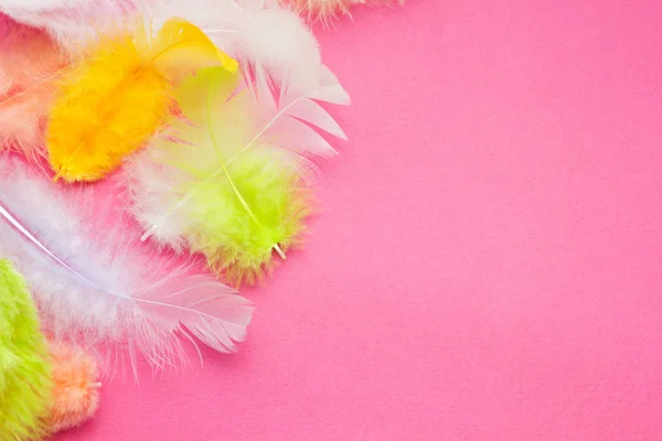 五颜六色的羽毛在一个边界的形式在粉红色的背景 文本的空间 — 图库照片