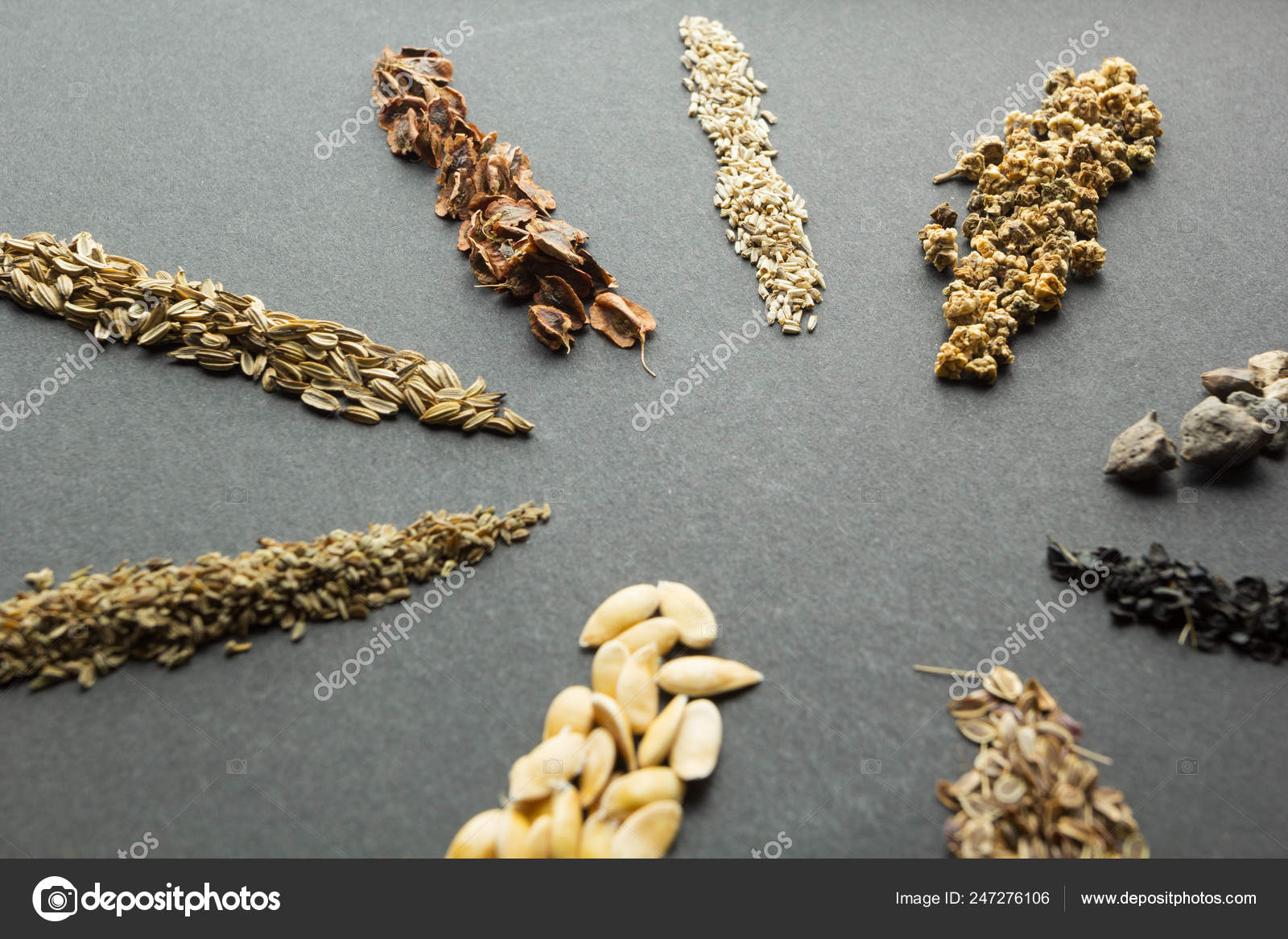 Restricción formato estimular Conjunto Granos Cereales Montones Semillas Ruibarbo Lechuga Remolacha  Espinacas Cebolla: fotografía de stock © LIIMIT #247276106 | Depositphotos