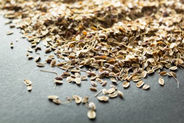 Siyah bir zemin üzerine kuru organik dere otu tohumu.