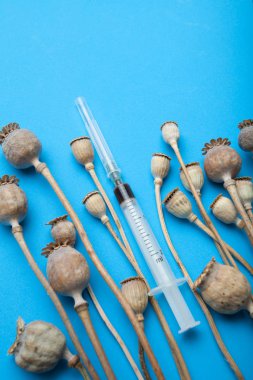 Kuru haşhaş saman ve bir şırınga ile mavi bir arka plan üzerinde bir uyuşturucu. 