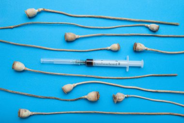 Kuru haşhaş başkanları ve enjeksiyon şırınga ile mavi bir arka eroin