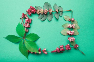 Yeşil bir arka plan üzerinde yabani bitkilerin izole kare