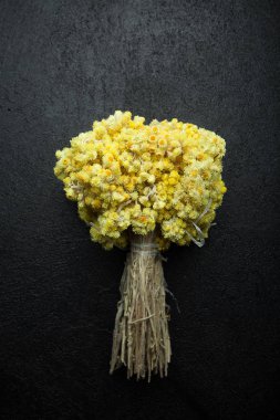Dry yellow bouquet of immortelle on a black background, vertical clipart